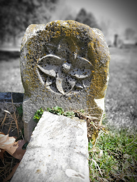 AP Studio Art: Taking Reference Photos in the Cemetery