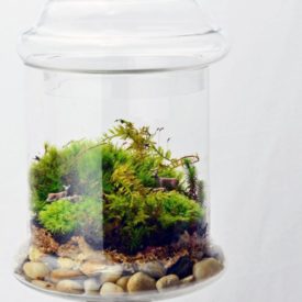 25 Ways to Decorate Your Apothecary Jars For Spring