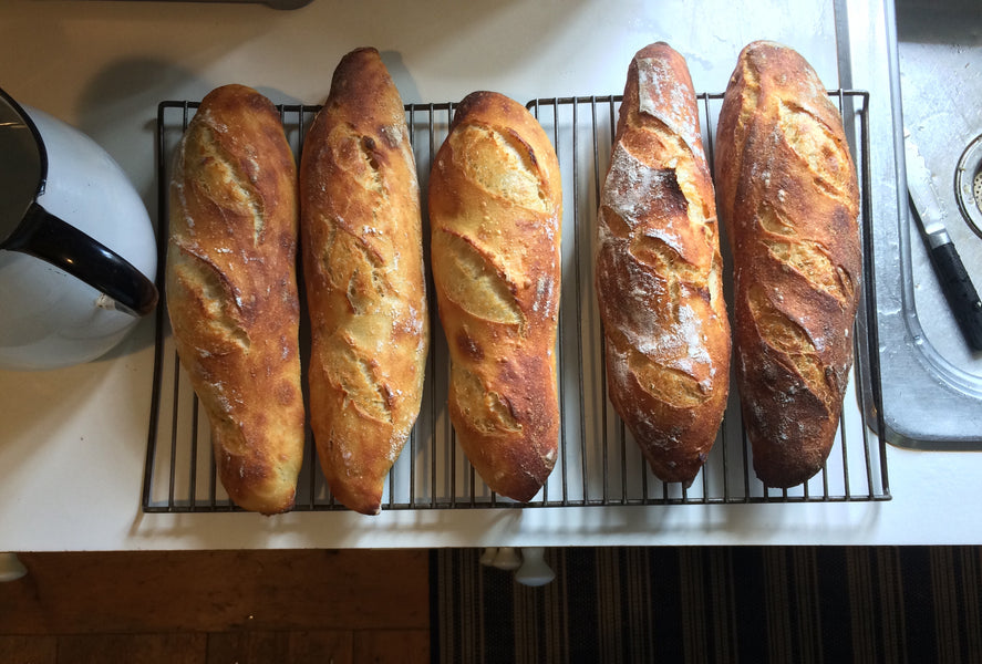 A little chatty, and bits & pieces