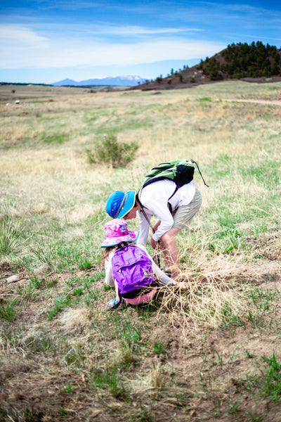 System Status: Second Quarter 2020