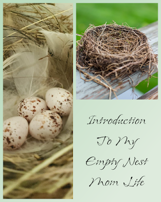 Introduction to My Empty Nest Mom Life