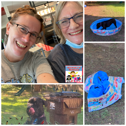 May 2021 Homeschooling in Review