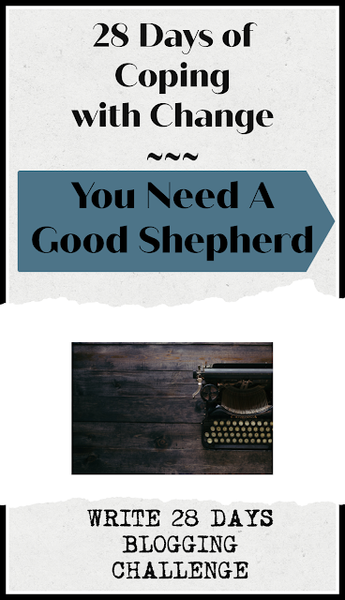 You Need a Good Shepherd