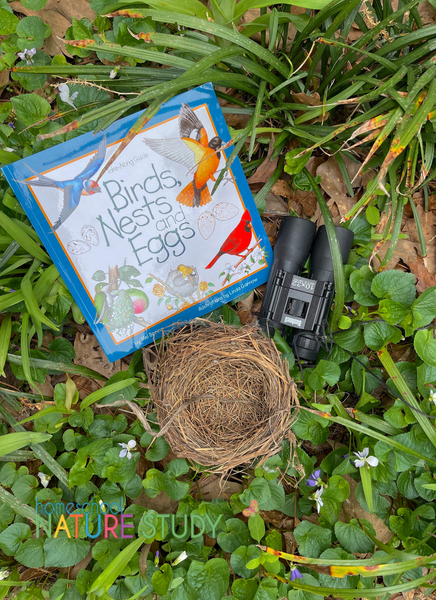 Homeschool Nature Book – Birds, Nests, and Eggs