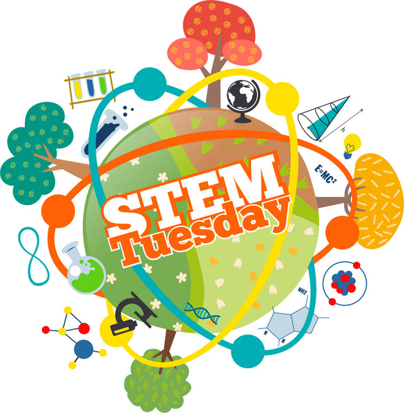 STEM Tuesday — Women Who Changed Science — Author Interview with Kirsten W. Larson