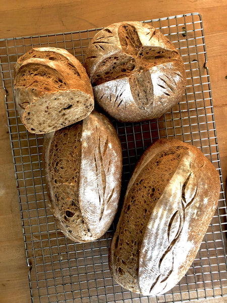 Sourdough spent-grain bread