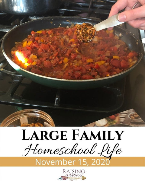 Large Family Homeschool Life – 11/15/20