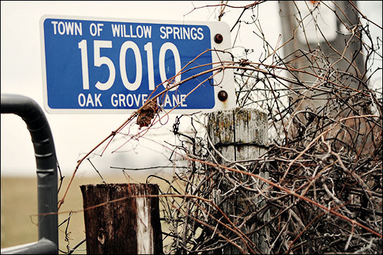 Studying math gives homeschoolers a sense of belonging