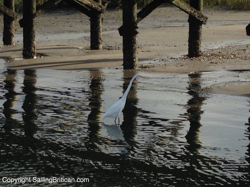 13 reasons why living on a boat in a marina is better than living in a house on land