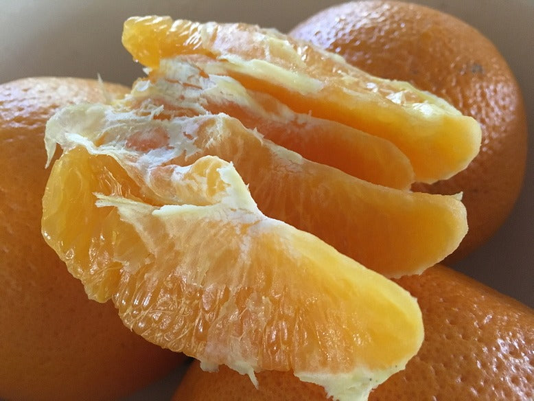 Produce Pete: Navel Oranges, the Seasons Main Squeeze