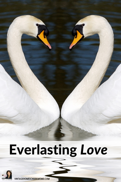 Everlasting Love – Special Replay