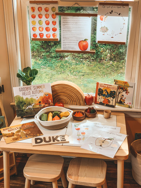 4 Must-Haves To Montessori At Home This Fall