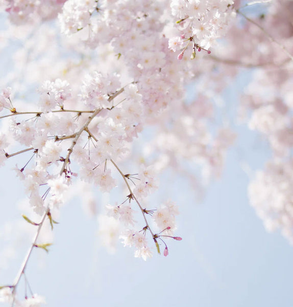 People Share 73 Weird Facts That Make People Ask, “Why The Hell Do You Know That?”