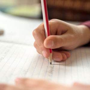 The Homeschool Curriculum We Use for 2nd, 3rd, 4th, 5th, & 6th Grades