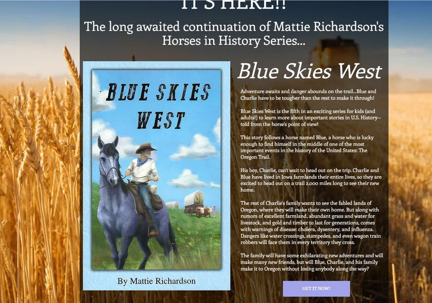 Merey’s Review of Blue Skies West from Appaloosy Books