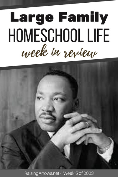 Large Family Homeschool Life – Week 5 of 2023