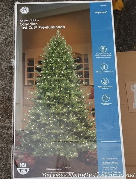 Little Ge Christmas Tree