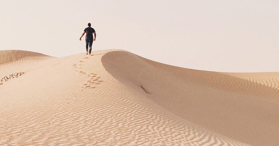 As a busy, adult human, your head contains swirling vortex of to-do lists, schedules, friend requests, news updates, grocery lists, party invites, and personal concerns