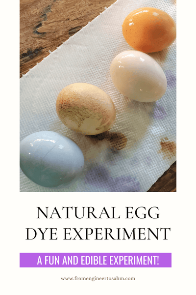 Simple Natural Egg Dye Experiment