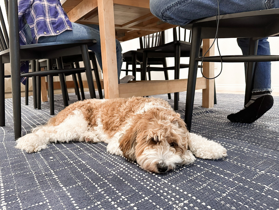 Melissa’s Homeschool Day in the Life (with a 9-, 12-, 15-, and 16-year-old)