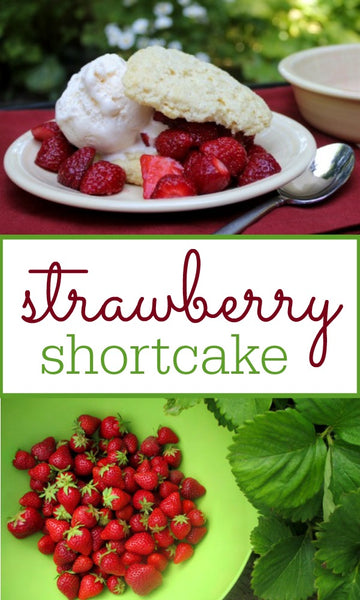 How to Make Strawberry Shortcake from Scratch