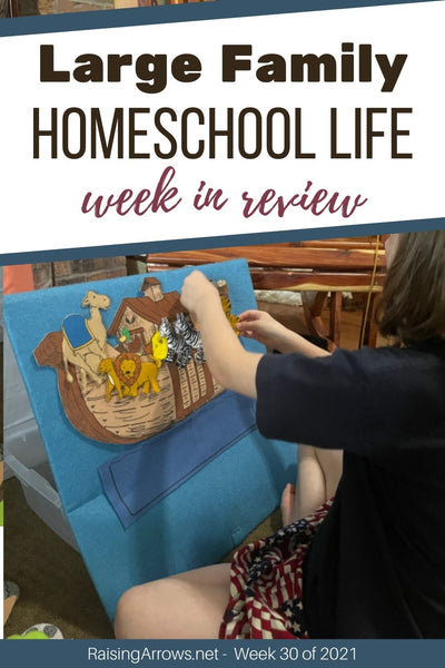 Large Family Homeschool Life – Week 30 of 2021