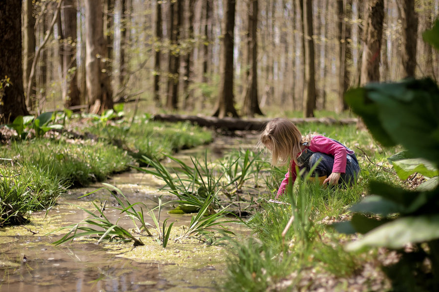 Reflections on Quarantine