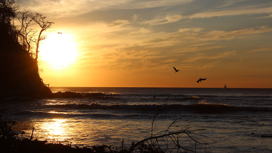 Appreciating Nature’s Gifts, Plus My Thin Focaccia Recipe