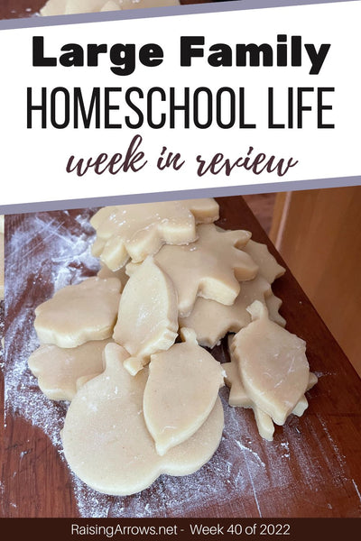 Large Family Homeschool Life – Week 40 of 2022