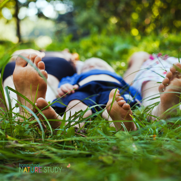 How to Teach Homeschool Nature Study