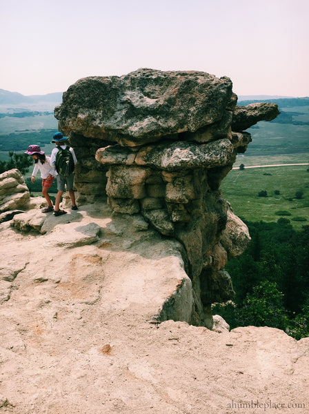 Weekend Entertainment: 19 June 2020