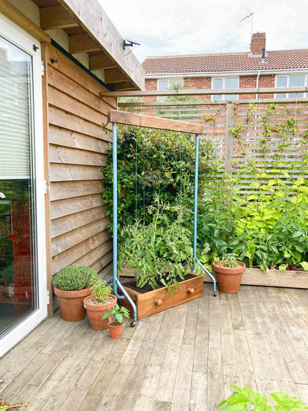 How to build a planter for climbing plants from old bedroom furniture