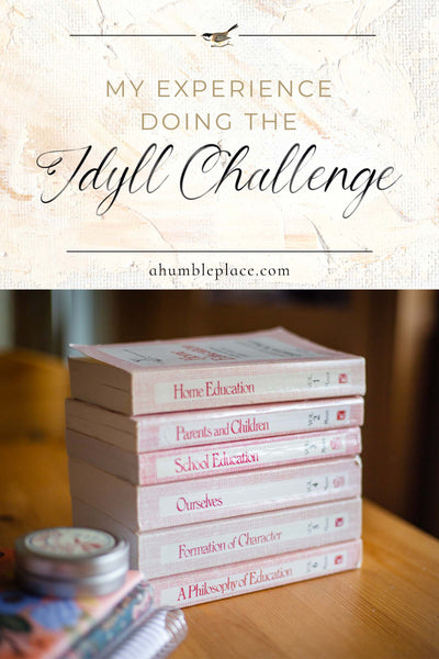 My Experience Doing the Idyll Challenge