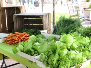 Teaching Children to Value Their Food