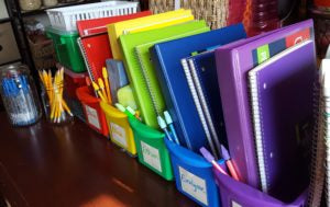 Reasons to Homeschool: Flexibility