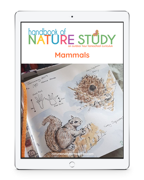 The Ultimate List of Mammals Homeschool Nature Study Using the Outdoor Hour Challenges
