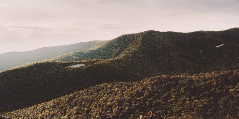 On the Trail of the Shenandoah Murders at the American Investigative Society of Cold Cases