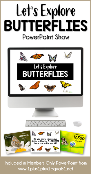 Let’s Explore Butterflies ~ An Interactive PowerPoint Show for Kids