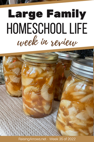 Large Family Homeschool Life – Week 35 of 2022