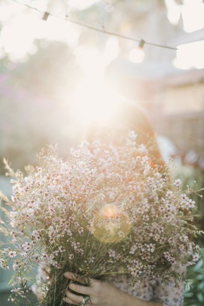 Simplified Video + Photo Editing