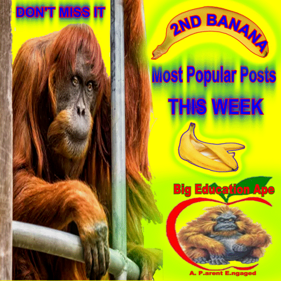 TOP POSTS THIS WEEK 8/15/20 #REDFORED #tbats #COVID-19 #REOPENSCHOOLS #BIDEN2020 #BidenHarris2020