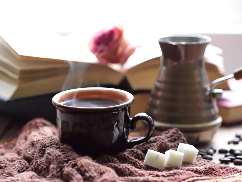 Weekend homeschool links: January 21st