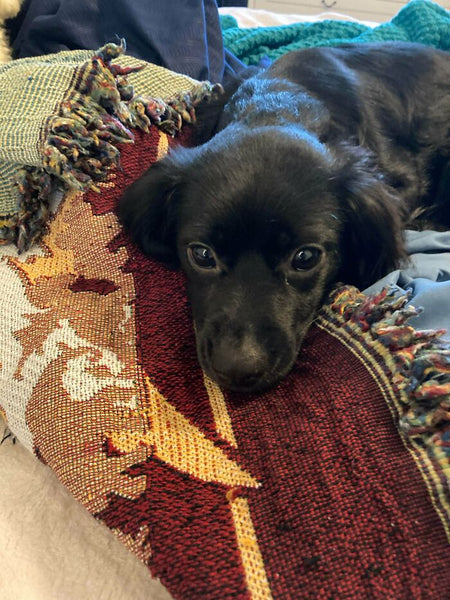 124 Of The Coolest Things People Found In The Trash, As Shared On The ‘Dumpster Diving’ Online Group