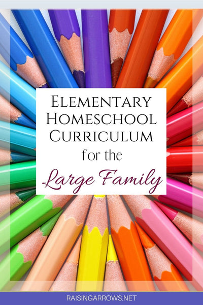 Elementary Homeschool Curriculum Picks for the Large Family