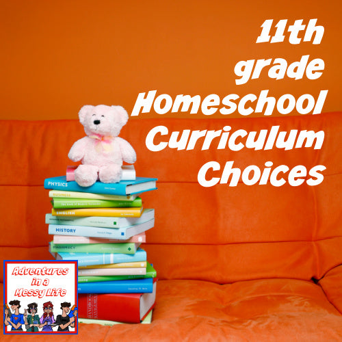 11th Grade Homeschool Curriculum Choices