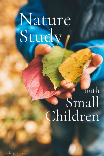 Nature Study with Small Children