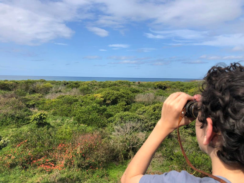 Dealing with Post-Homeschooling Parental Guilt