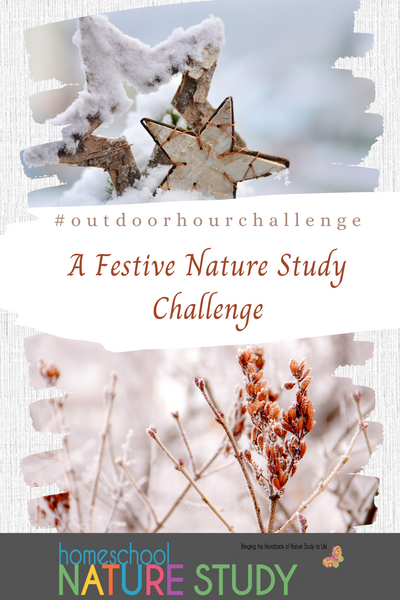 This Festive Homeschool Nature Study Challenge Is Perfect For Christmas Time