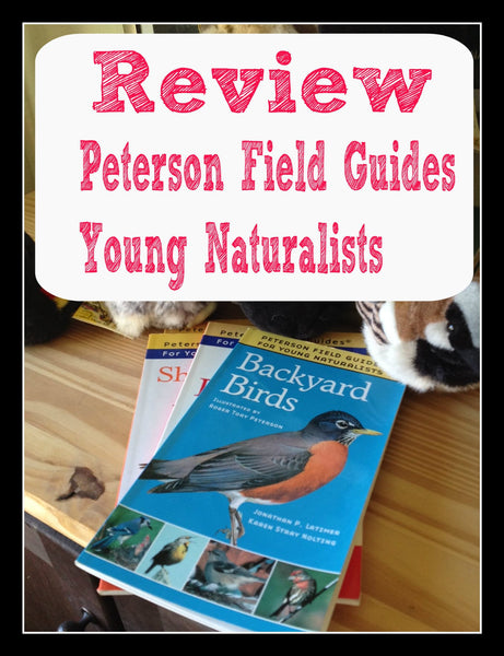 The Ultimate List of Birds Homeschool Nature Study Resources Using the Outdoor Hour Challenge